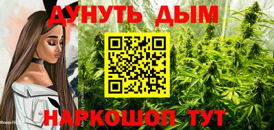 прущие грибы Кулебаки