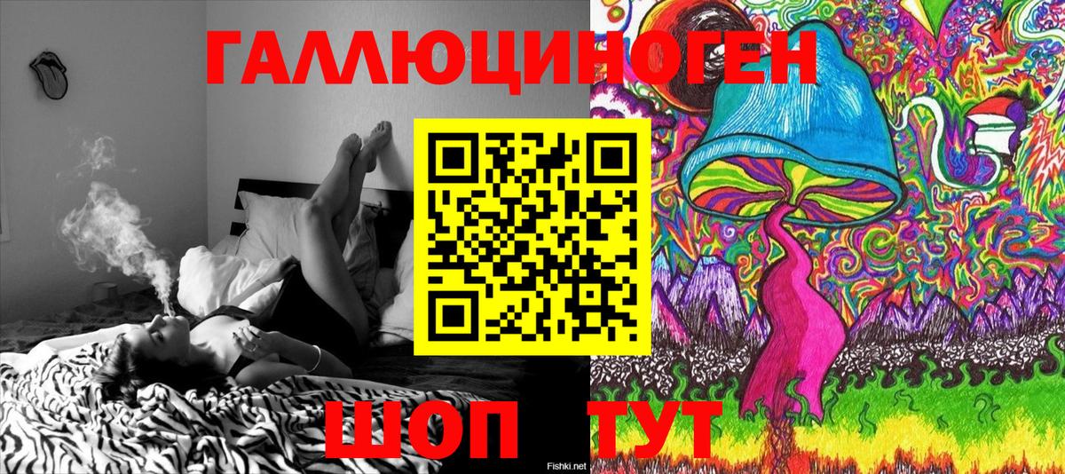 Псилоцибиновые грибы Psilocybine cubensis Каменск-Шахтинский
