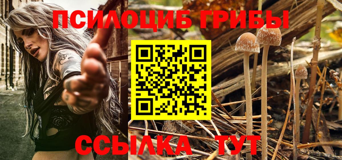 купить   Вход с VPN  Каменск-Шахтинский  Галлюциногенные грибы Magic Shrooms  Галлюциногенные грибы Magic Shrooms 